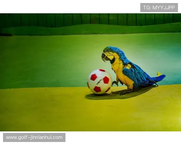 足球萌宠球星:这些球场上的可爱瞬间让你心动不已 足球萌宠球星:这些球场上的可爱瞬间让你心动不已